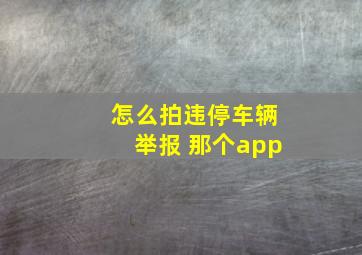 怎么拍违停车辆举报 那个app